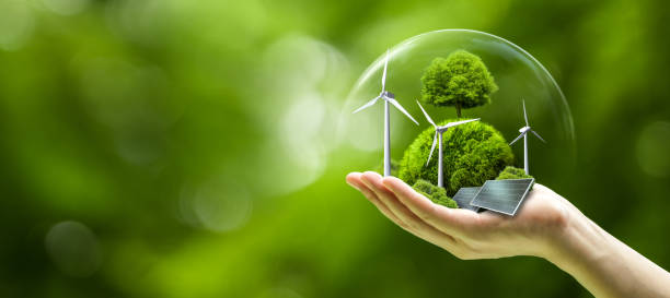 Sustainable Trees in a forest